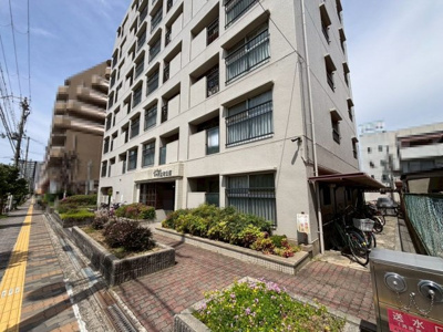 【外観】 | メゾンドール住吉沢之町公園