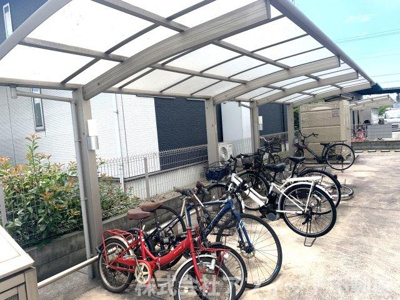 【その他共用部分】 | D-roomCⅢ | 駐輪場