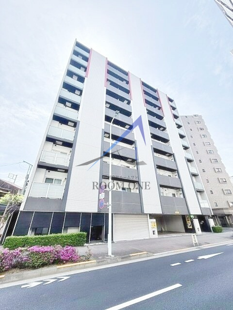 ＥＸＩＭ　ＮＩＳＨＩＳＵＧＡＭＯ