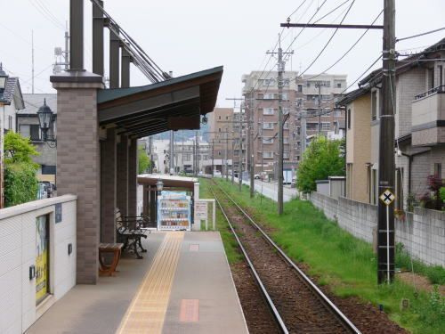 フロラシオン・Ｙのその他
