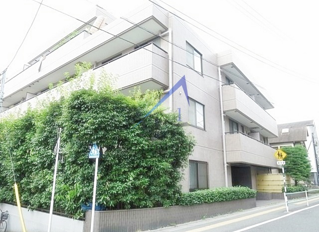 エイペックス上池台