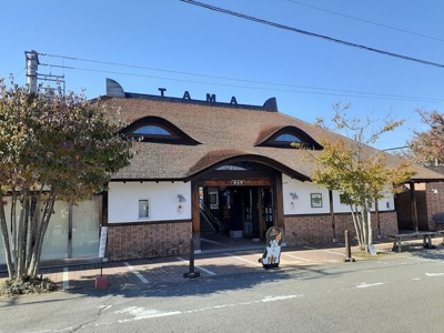 【周辺】 | アルカディアⅢ | 和歌山電鉄　貴志駅様まで650m