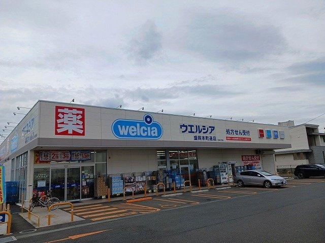 レジデンス仁王の周辺|ウエルシア盛岡本町通り店まで650m
