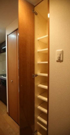 練馬区中村北１丁目の賃貸マンションの玄関