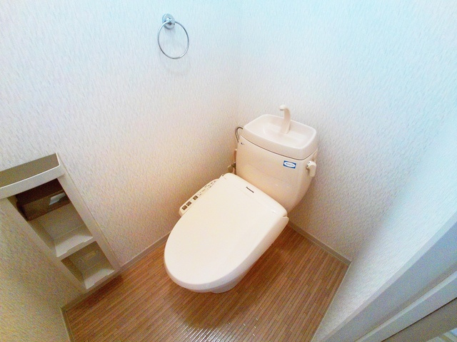 ディアス六甲のトイレ