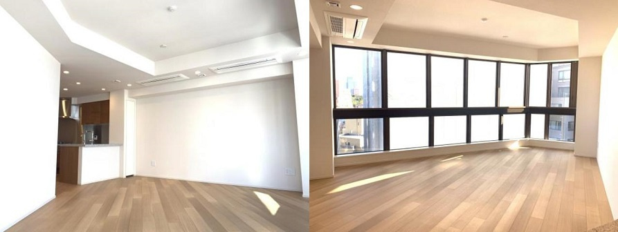千代田区一番町の賃貸マンションのその他|リビング