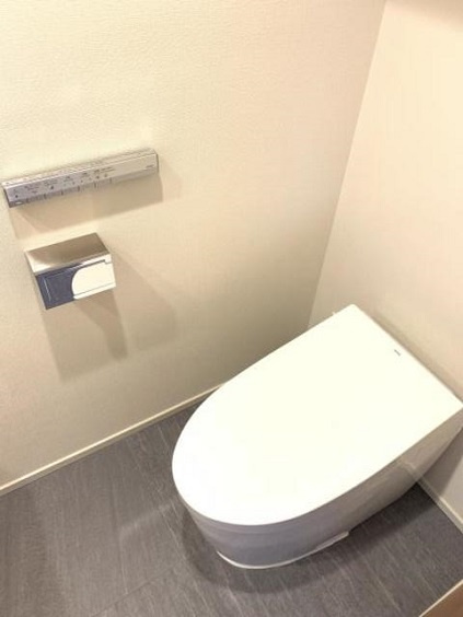 千代田区一番町の賃貸マンションのその他|トイレ