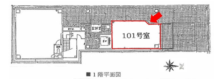 心斎橋ＭＳビルの間取り