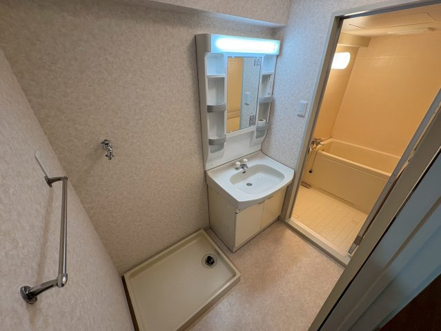 サンパレスCA田中の洗面所