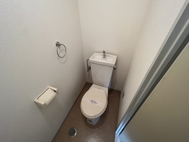 ディアーナTCT