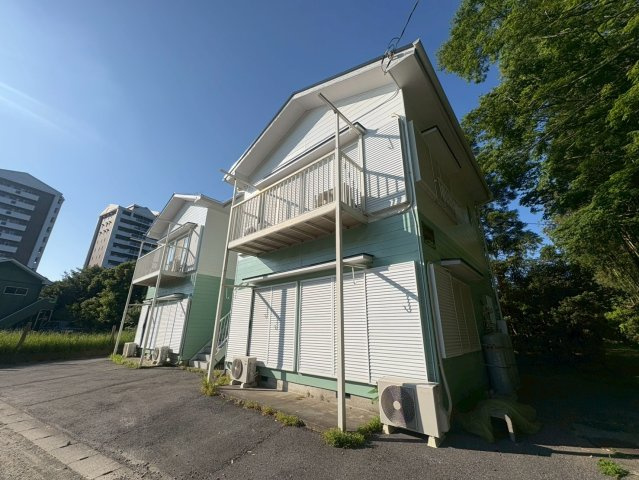 カームコマゴメの画像