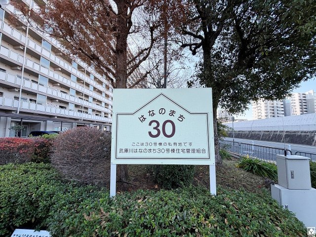 武庫川はなのまち30号棟の外観|東側バルコニーのため、朝日が気持ちよく入り爽やかな一日を始められます。