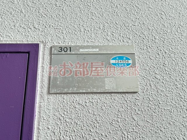 シェル幹のその他