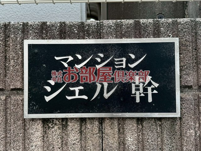 シェル幹のその他