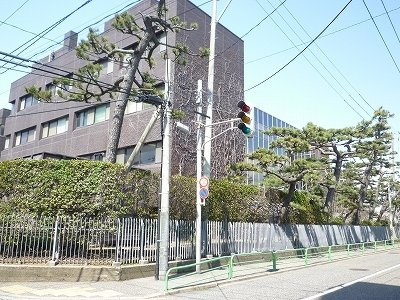 ベルクローバーの周辺|日本歯科大学新潟病院まで1000m