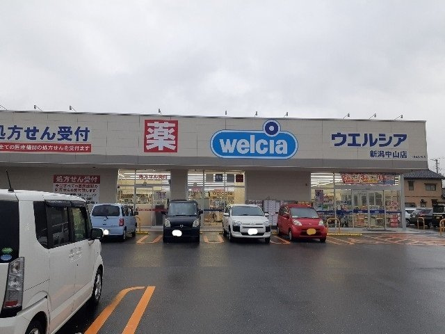 グランアベリアの周辺|ウエルシア新潟中山店まで750m