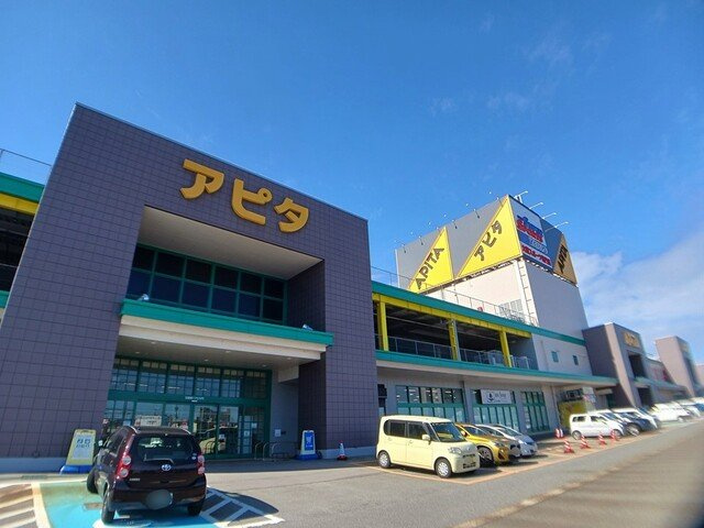 ドリームキャッスルの周辺|アピタ新潟西店まで1320m