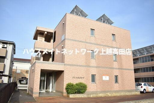 プレムはまなす