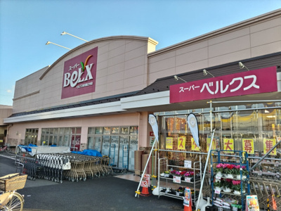 ベルクス 市川堀之内店まで500ｍ