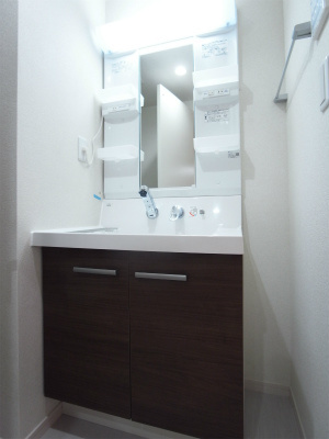 リブリ・根岸 CEREZOの洗面所