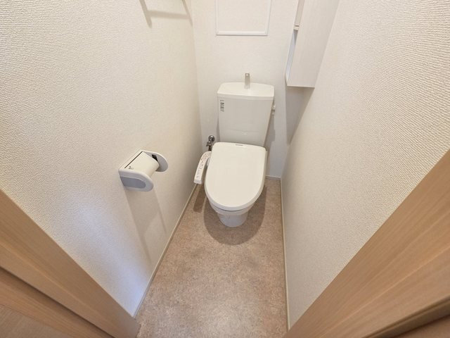 ヴューテラスⅠのトイレ