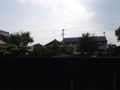 【展望】 | セレッソ