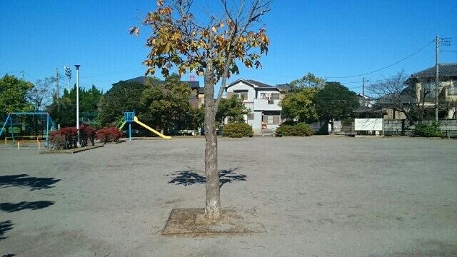 コーポグリーンＢの周辺|塩田町公園まで360m