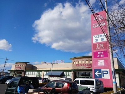 【周辺】 | ヒルズ鶴見Ｃ | カスミフードスクエア下館南店まで750m