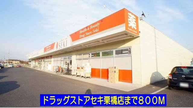 サン・ブランチの周辺|ドラッグストアセキ栗橋店まで800m