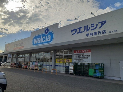 【周辺】 | サンライト | ウエルシア甲府徳行店まで200m