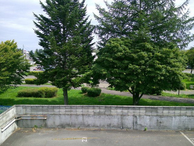 PEACE⑦の展望