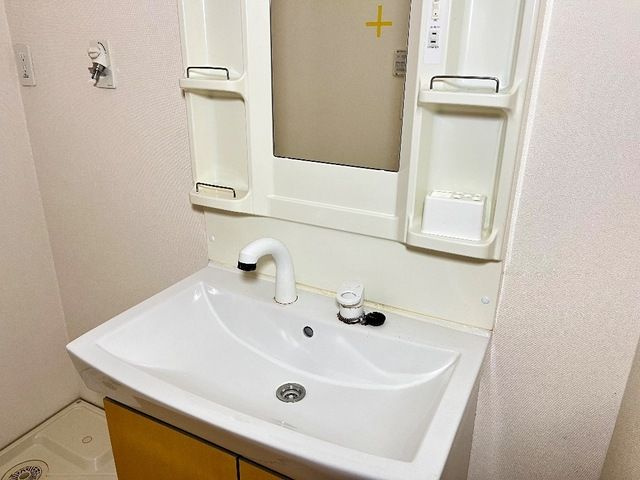 シーマ　グランデの洗面所|広い洗面スペース