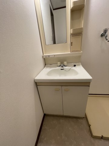 レスターテⅣの独立洗面台