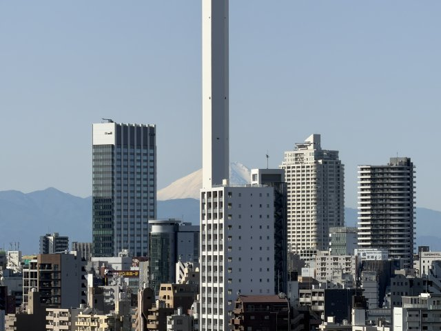 ★仲介手数料無料★グローリオタワー巣鴨（15階南西向き住戸・空室につき即入居可能）の展望
