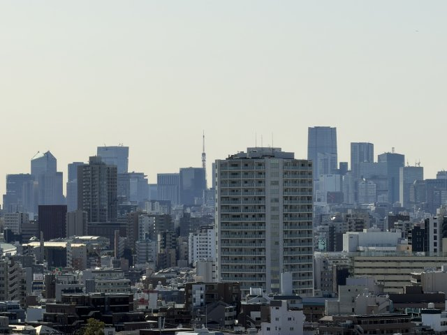 ★仲介手数料無料★グローリオタワー巣鴨（15階南西向き住戸・空室につき即入居可能）の展望