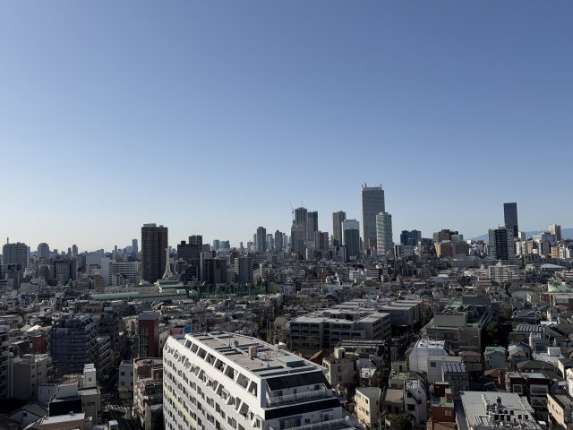 ★仲介手数料無料★グローリオタワー巣鴨（15階南西向き住戸・空室につき即入居可能）の展望