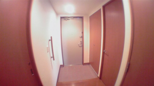 江東区豊洲５丁目の賃貸マンションの玄関