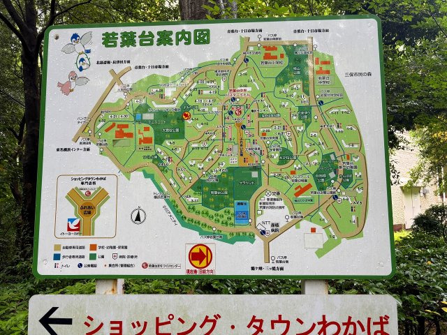 の-の画像