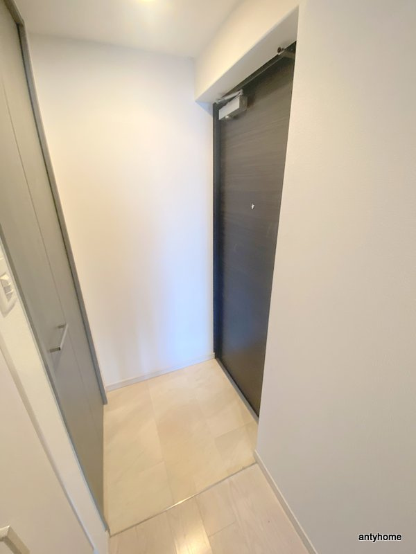 S-RESIDENCE谷町五丁目　仲介手数料無料の玄関
