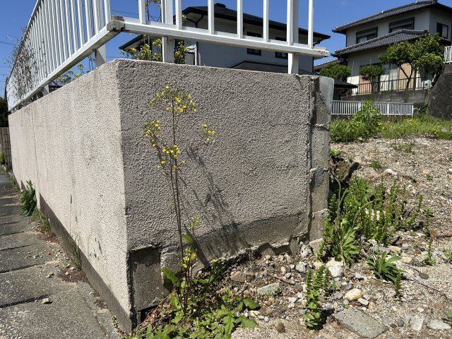 熊本県熊本市北区清水岩倉2丁目22-13の外観|境界ブロックの塗装が剥離気味。新しく建築するお家に合わせて、好みの色に塗り替えが
おすすめです♪