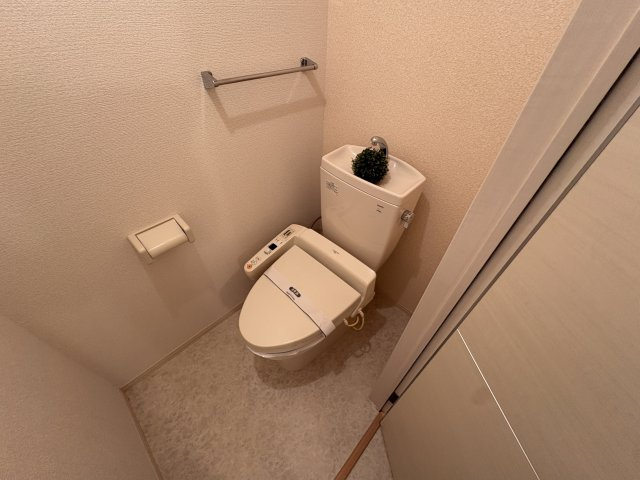 ブランシェ・ドミールB棟のトイレ