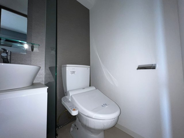 S-RESIDENCE難波Brillerのトイレ