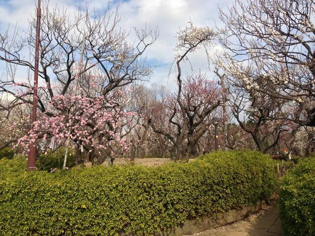 ラ　ベルジェ下北沢の展望|羽根木公園まで997m 