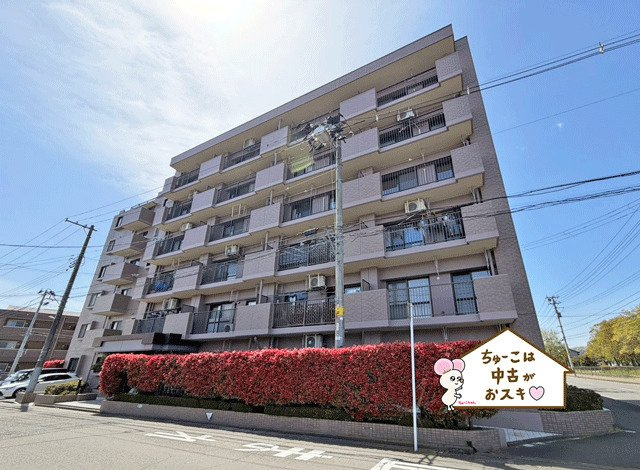 ナイスアーバン南仙台第1の外観
