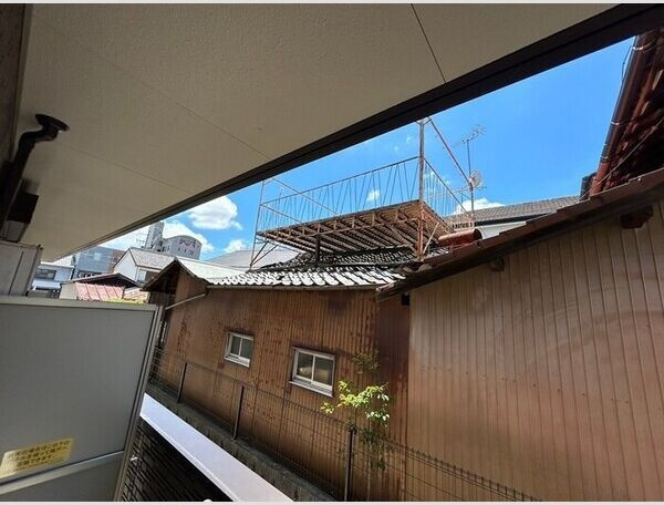 サンライズSの展望