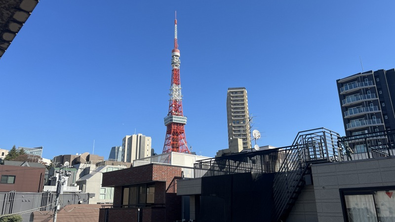 メゾン東麻布の周辺