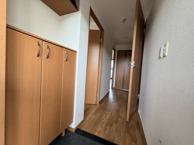 F.ロッシュのその他