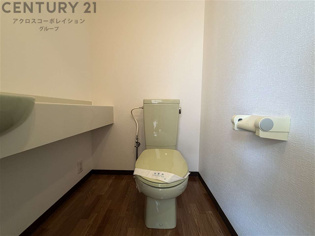 トイレ内に手洗い用の洗面台あり