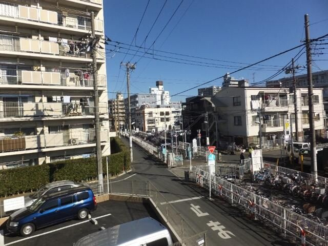 サンフラワー