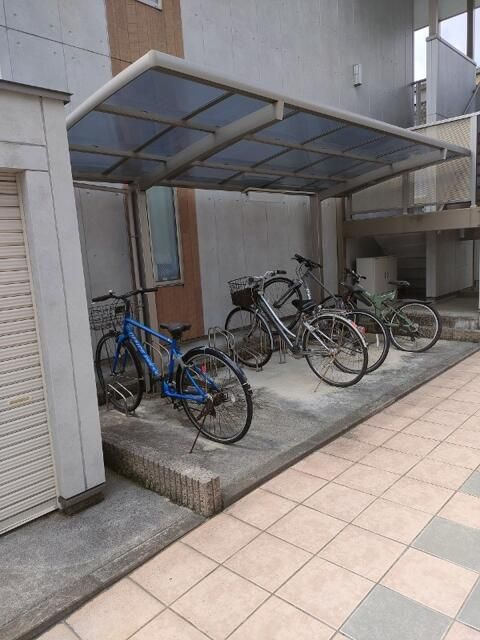 サンフラワーのその他